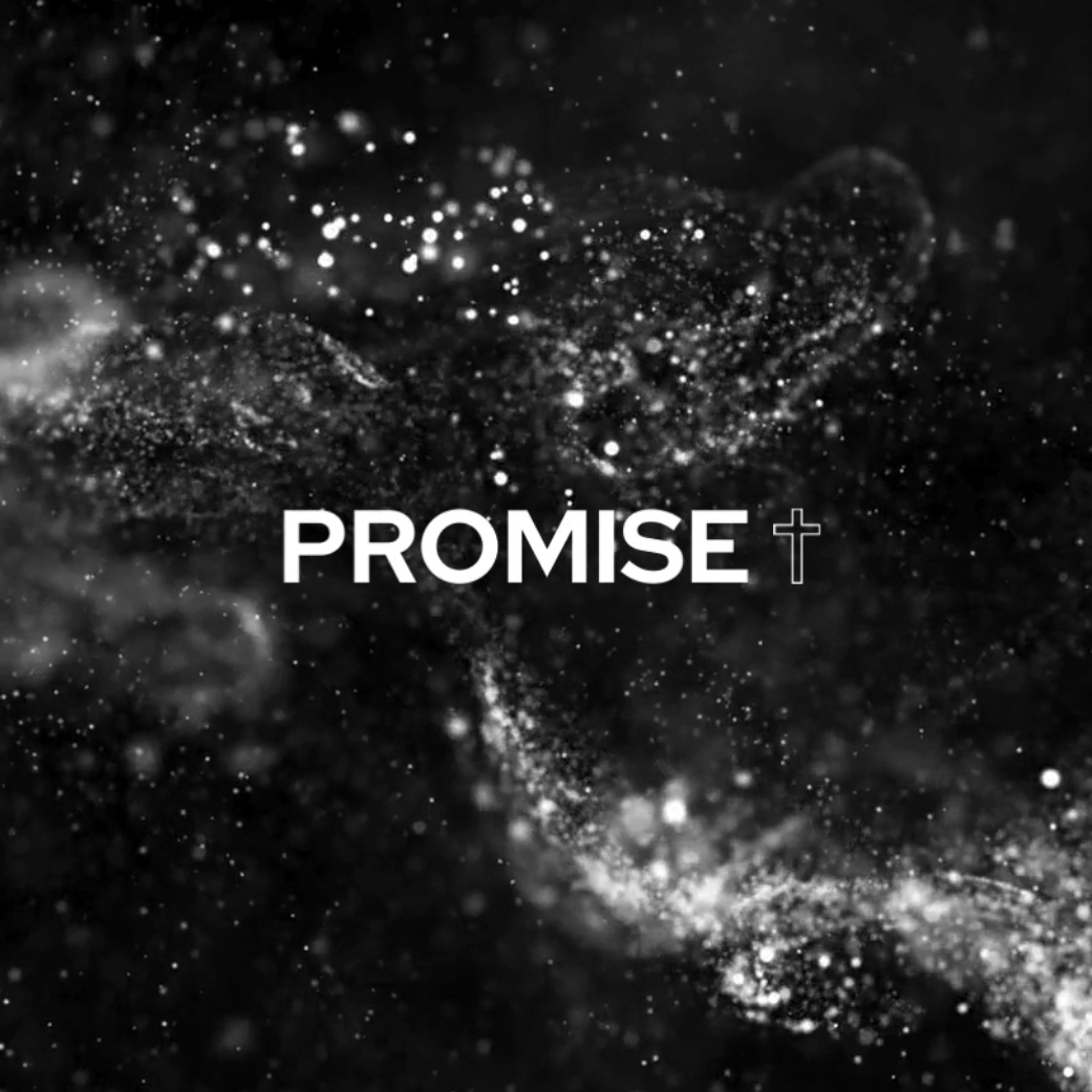 SNOW | PROMISE HOODIE